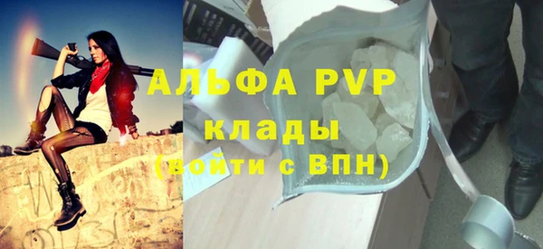 стаф Медногорск