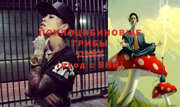 крисы Медвежьегорск