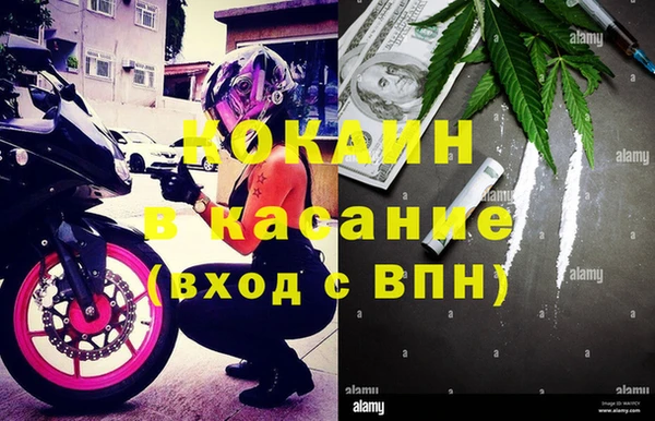 крисы Медвежьегорск