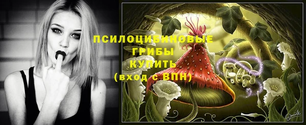 2c-b Мегион
