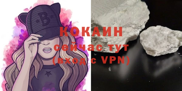 крисы Медвежьегорск