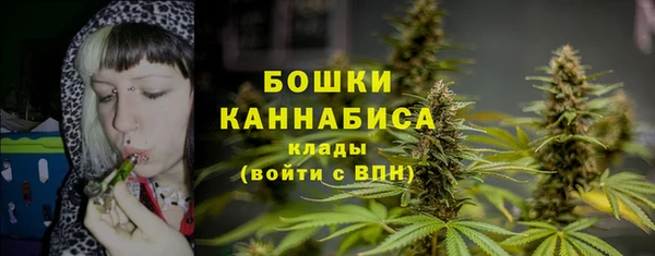 крисы Медвежьегорск