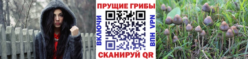 Псилоцибиновые грибы мухоморы  Купить  Калач-на-Дону 